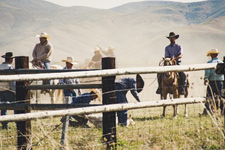 Cowboys ridder på heste